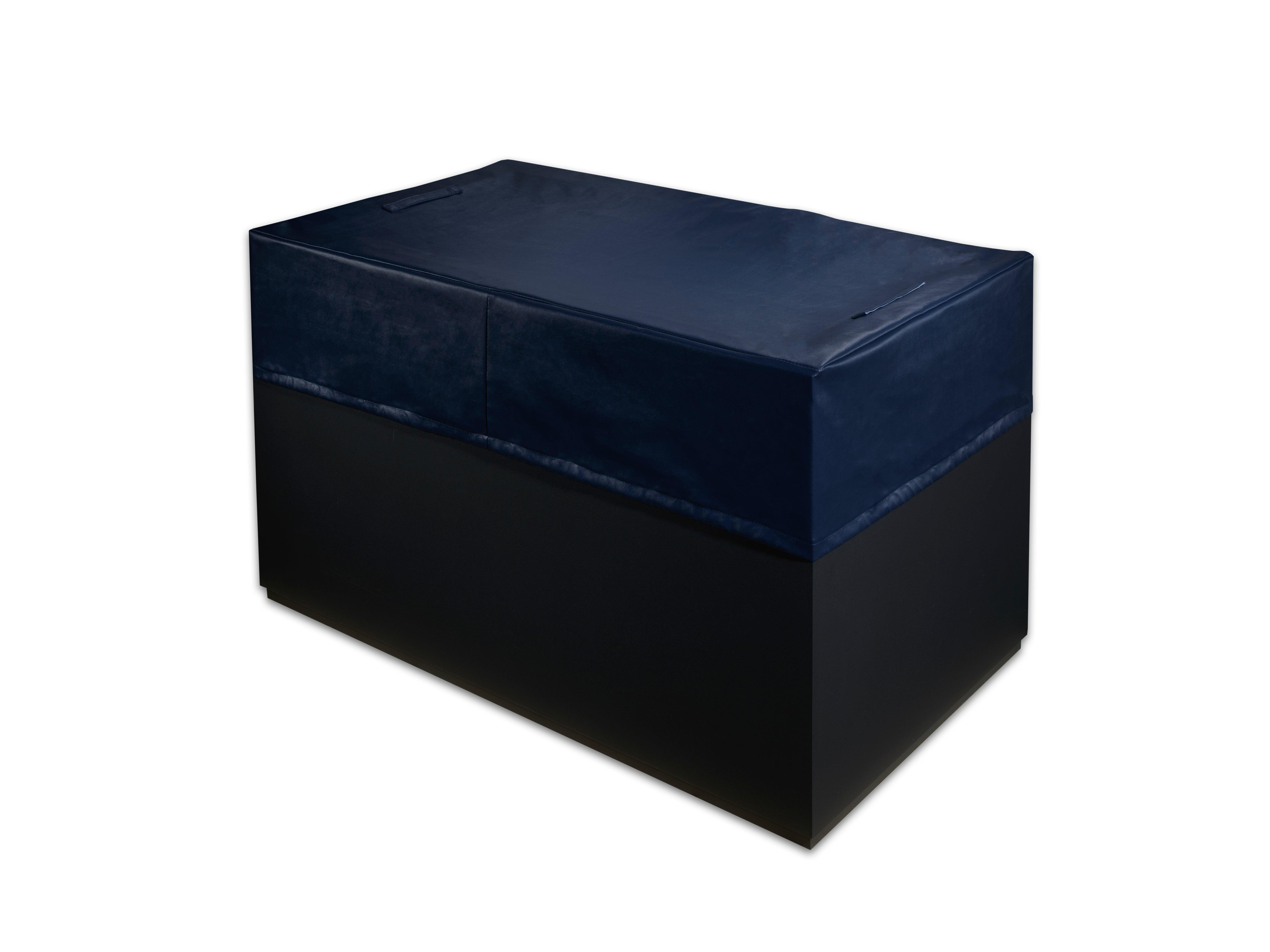 Stainless steel Dynamic Cold Therapy Cold Plunge with powerful 10 HP chiller for therapeutic treatment